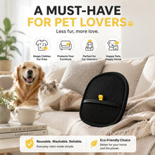 Portable Pet Hair Remover Glove for Clothes, Sofas & Car Seats