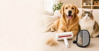 Happy dog and cat in a clean home