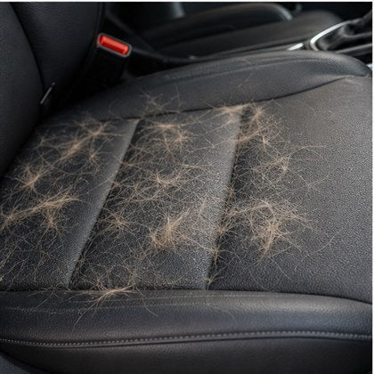 Pet hair on car seat fabric