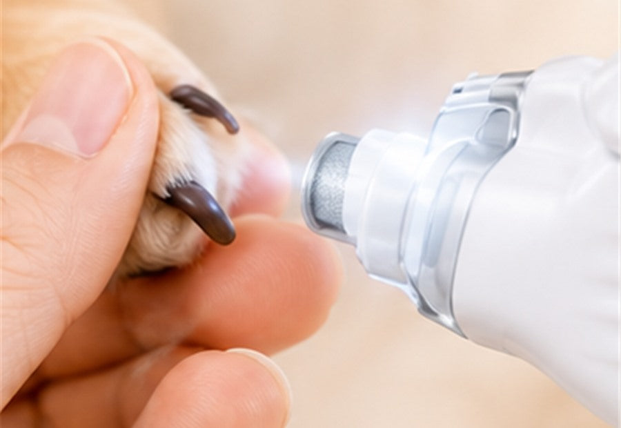 Smooth the nail edge with the pet nail grinder