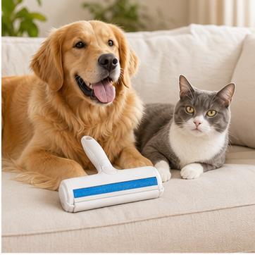 Pet-friendly home with reusable roller cleanup tool